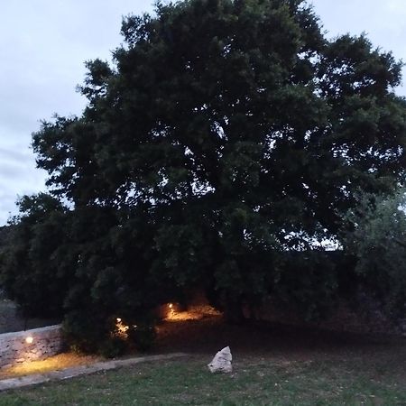 Trulli La Quercia Del Nonno Locorotondo Exterior foto