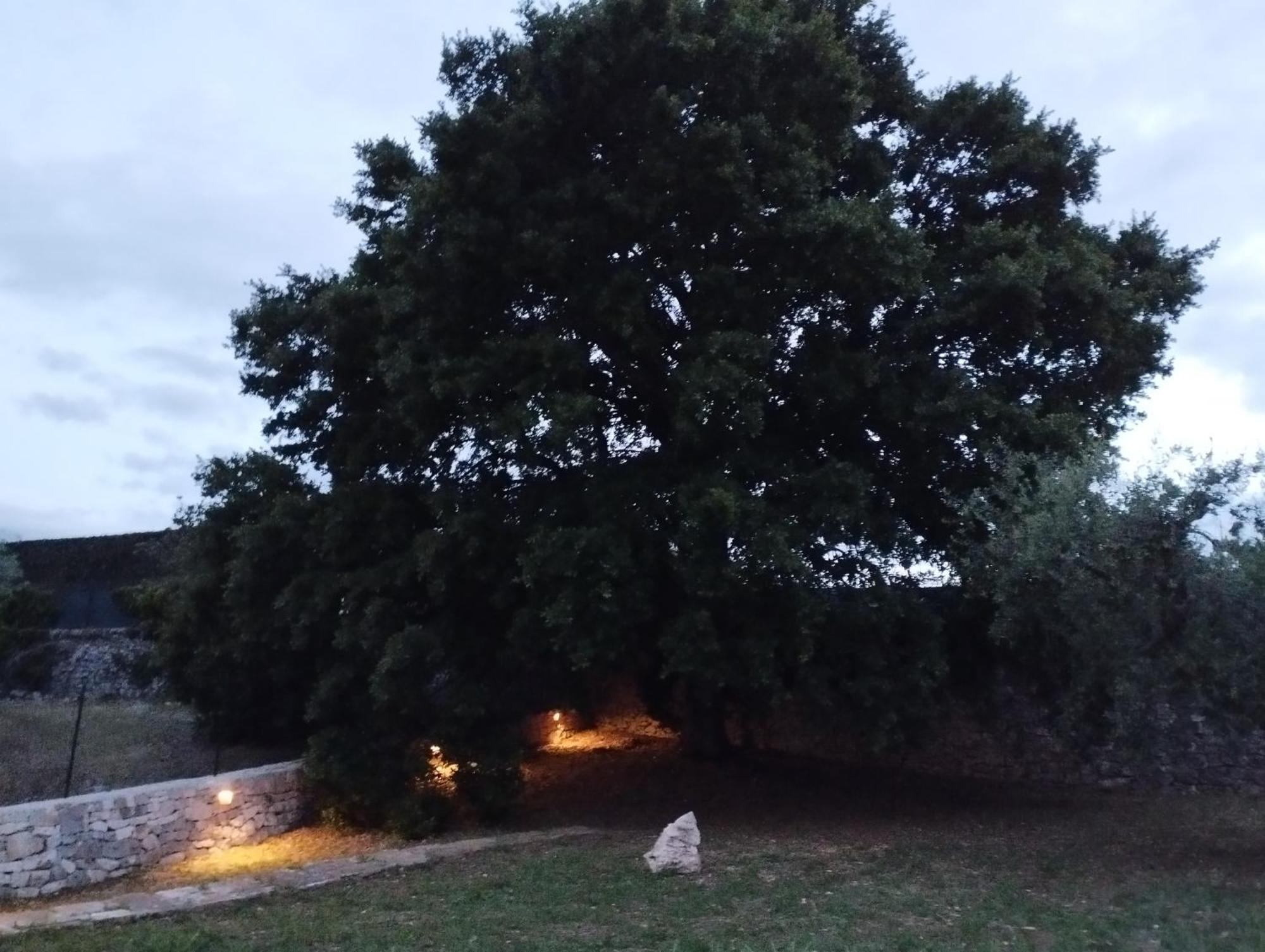 Trulli La Quercia Del Nonno Locorotondo Exterior foto